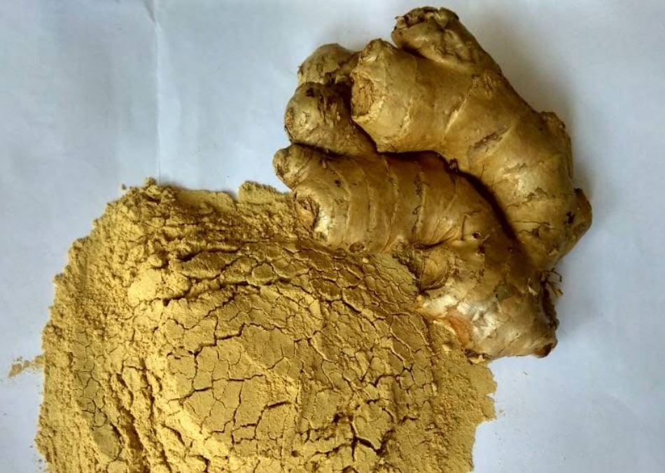 Ginger - front image